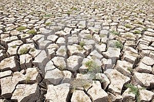 Cracked earth and barren