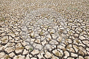 Cracked earth and barren photo