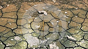 Cracked earth at the bottom of a former reservoir