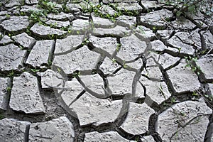 Cracked earth - climate change