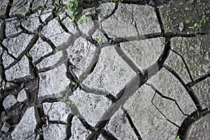 Cracked earth - climate change