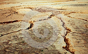 Cracked earth close-up