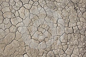 Cracked earth, cracked soil. texture of grungy dry cracking parched earth