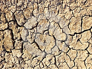 Cracked earth. Cracks in dry ground. Drought.