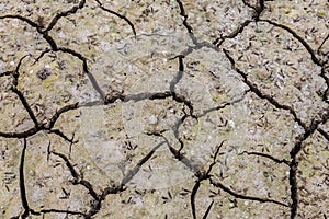 Cracked earth on dray season