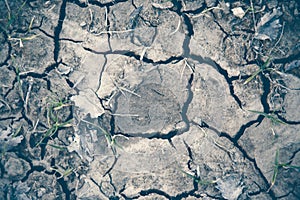 Cracked earth on dray season