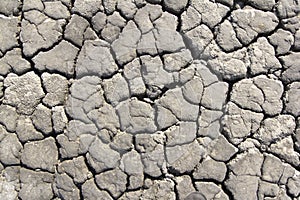 Cracked earth in a dried river