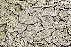 Cracked earth from drought