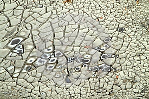Cracked earth by drought