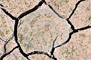 Cracked earth due to drought and climate change photo