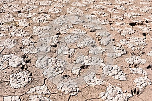 Cracked earth due to drought and climate change photo
