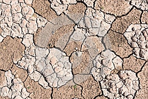 Cracked earth due to drought and climate change photo