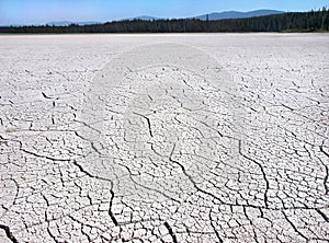 Cracked earth due to drought in the wilderness of British Columbia, Canada