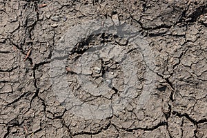 Cracked Earth and green grass. Dried Ground