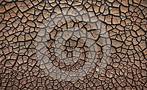 Cracked Earth Pattern Texture as nature abstract background