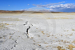 Cracked earth on the plateau of Bark, near the Central point of the Mandala of Kailas in summer. Tibet, China