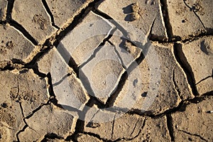 Cracked earth from prolonged drought. Background and texture of brown dry soil closeup