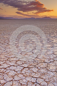 Cracked earth in Alvord Desert, Oregon, USA at sunrise