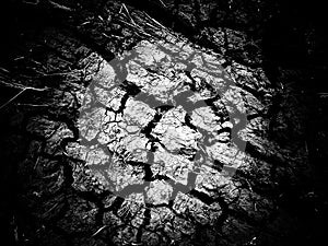 Cracked earth, scorsched earth ground mud with cracks texture