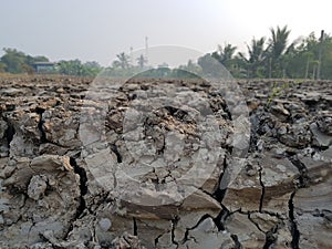 Cracked earth,Soil background and textures.