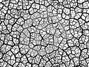 Cracked earth soil texture vector background