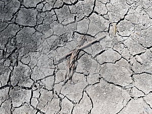 Cracked Earth surface. Dry Soil. Dry earth. Summer dry Soil.