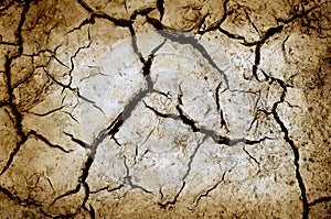 Cracked earth texture