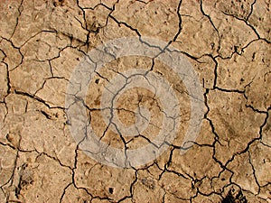 Cracked earth Texture