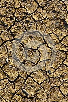 cracked earth texture background