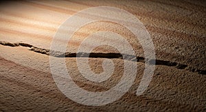 Cracked Earth Texture with Dramatic Lighting