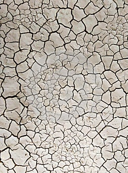 Cracked earth texture in a dry season