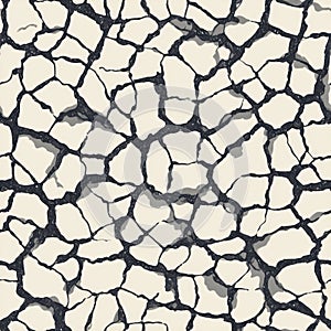 Cracked Earth Texture Pattern for Environmental and Climate Change Concepts.