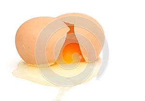 Cracked Egg