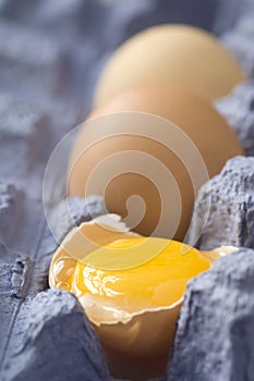 Cracked egg