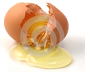 Cracked egg photo