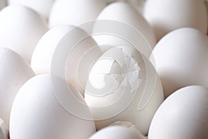 Cracked egg among all eggs