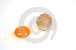 Cracked egg, eggshell with yolk isolated on white background