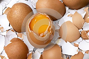 The cracked egg sees the yolk inside placed on a broken eggshell slice