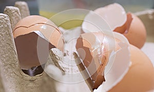 Cracked Eggshells in Carton.