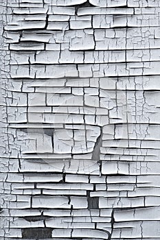 Cracked flaking white paint