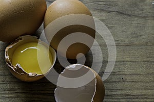 Cracked Fresh Brown Pastured Eggs