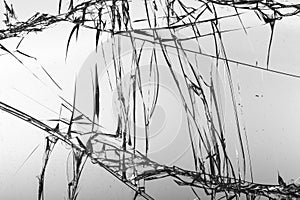 Cracked glass on a white background texture