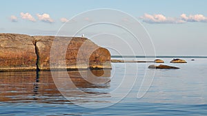 Cracked granite boulder with seagull on it. Baltic sea, gulf of Finland