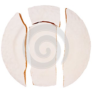 Cracked greenware plate