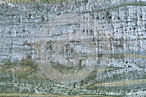 Cracked grey bark of  old tree background texture