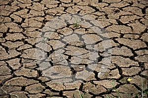 Cracked ground background and empty area for text, dry ground and hot surface of ground in summer, hot ambient around cracked
