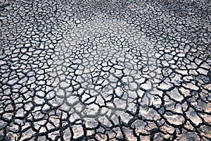 Cracks on the surface of the earth are altered by the shrinkage of mud due to drought