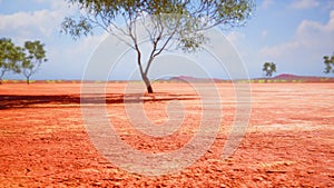 cracked ground dry land during the dry season