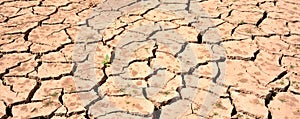 Cracked ground due to lack of water