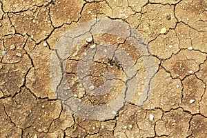 The cracked ground, Ground in drought, Soil texture and dry mud, Dry land, dry cracked eart background.